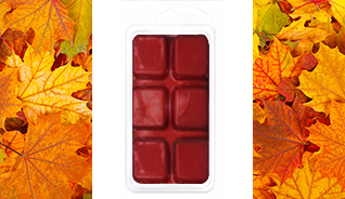 CELEBRATE FALL SOY TART BAR