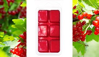 RED CURRANT & FIG TART BAR 2.5OZ