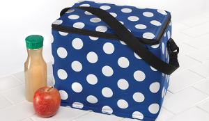 INSULATED LUNCH TOTE