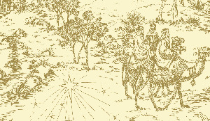 NATIVITY TOILE ROLL WRAP