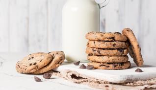 EASY GOURMET CHOCOLATE CHIP 2.7LB