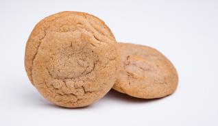EASY GOURMET SNICKERDOODLE 2.7LB