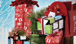 SANTA LETTERS REVERSIBLE WRAP
