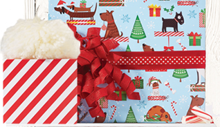 PEPPERMINT PETS REVERSIBLE WRAP